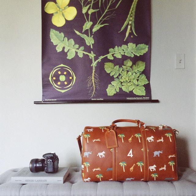 70e86d0f468a72879e413a8756cdc59d